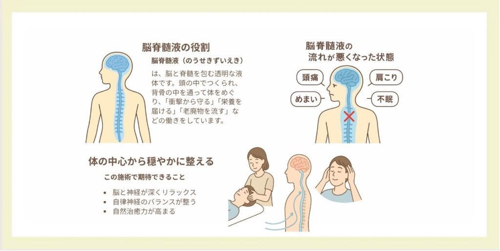 脳脊髄液(のうせきずいえき)の説明